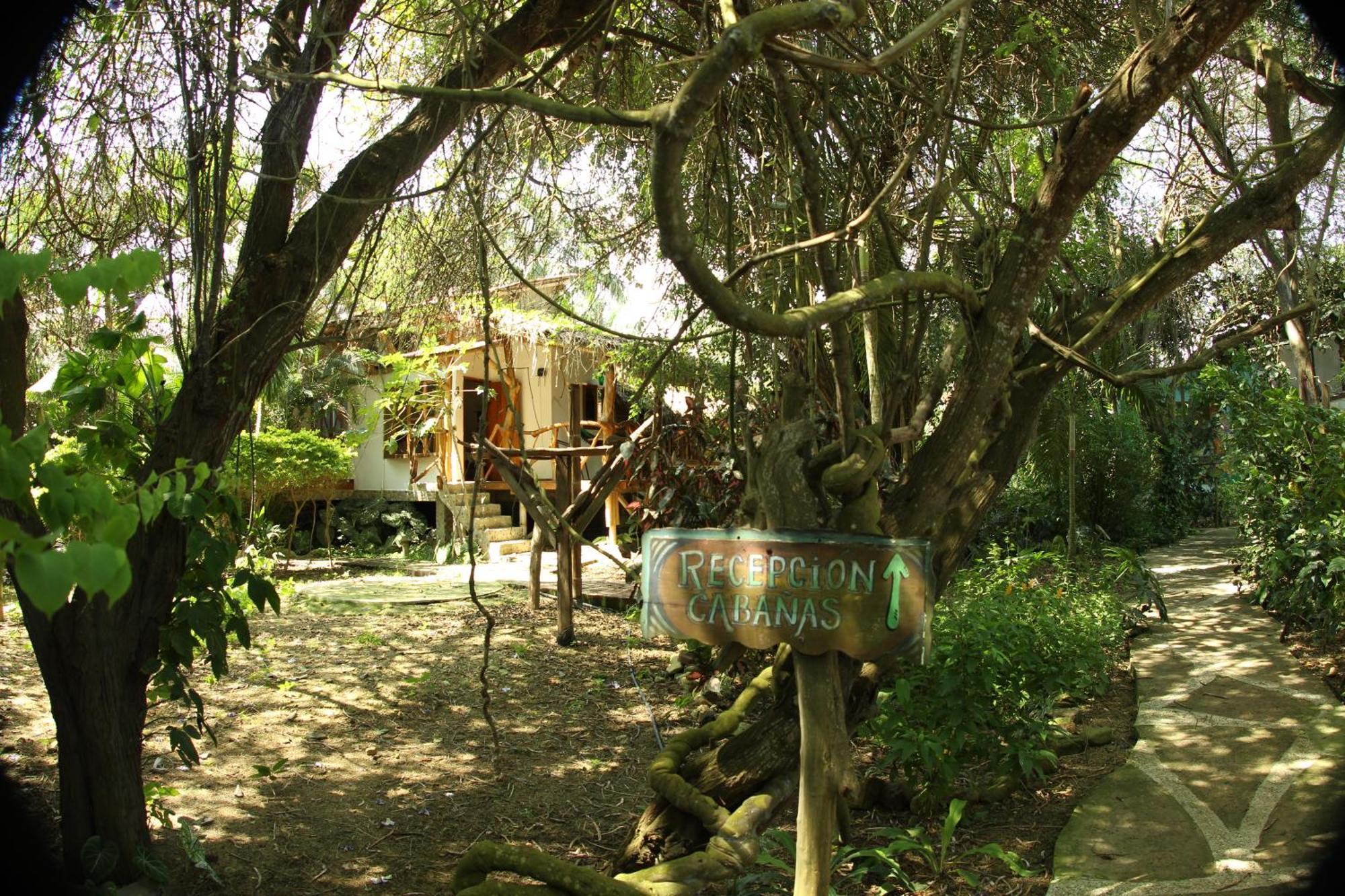 Bed And Breakfast Puerto López 外观 照片