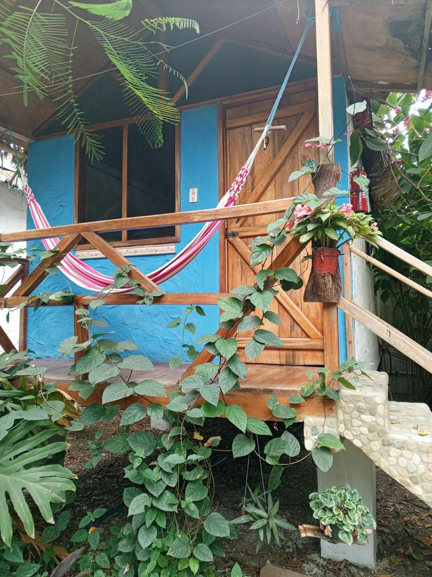 Bed And Breakfast Puerto López 外观 照片